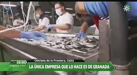 They jab 20,000 fish per day in Spain. Read carefully where you’re getting your fish.