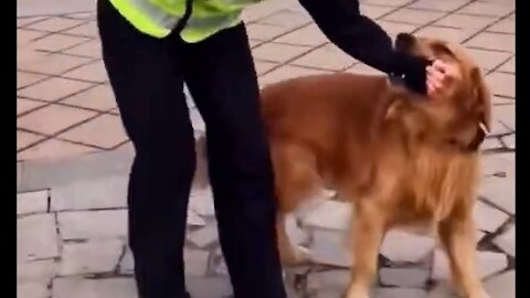 DOG BITES A COP WITH LOVE NICE VIDEO