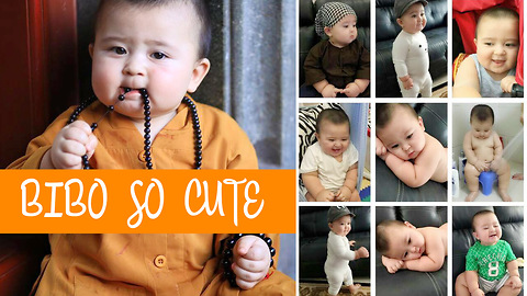 Bibo Salman So Cute - Baby From Asia