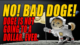 DOGE Coin is NOT 'fighting the man'