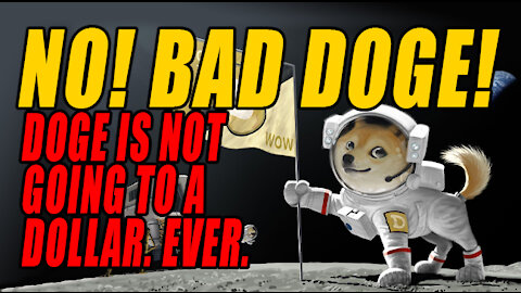 DOGE Coin is NOT 'fighting the man'