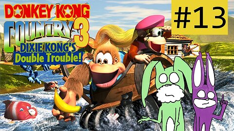 SPRING! | Donkey Kong Country 3 mit RED & GREEN #13