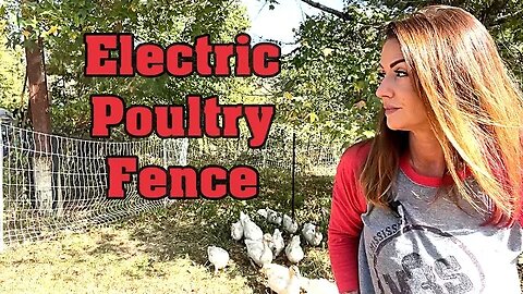 Pastured Poultry Electric Fencing & Management. Why We Do It This Way #premier1, #grubterra