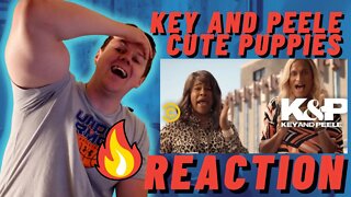 KEY AND PEELE - CUTE PUPPIES | THIS IS TRUE FOR EVERY WOMAN ((IRISH REACTION!!))