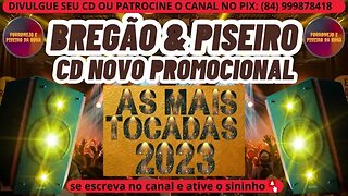 BREGÃO E PISEIRO 2023 CD NOVO PROMOCIONAL 2023 @brasilsertanejando4788​