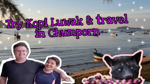 AIT in Chumphon, Thailand (pt I) KOPI LUWAK | Adventures in ThaiMerica