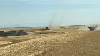 Organized CHAOS!!! / Day 12 Highwood Montana Wheat Harvest (July 31)