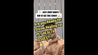 Are you Ready for Divine Healing for PET HEALTH ISSUES?!?
