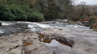 Avon river. Dartmoor 25th March 2023