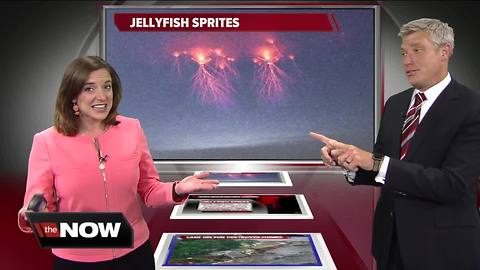 Geeking Out: Jelllyfish sprites