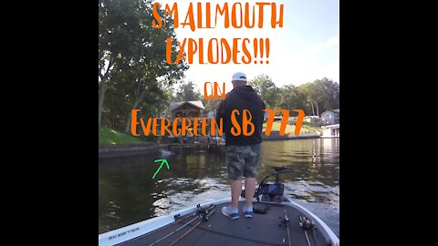 Smallmouth explodes on the new ( size ) Evergreen SB 77.7