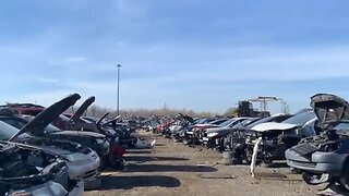 WE FOUND WHAT IN THIS SCRAP YARD?! ABSOLUTE CAN NOT MISS !? PART 1 OF 2