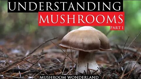 Understanding Mushrooms: Part 1
