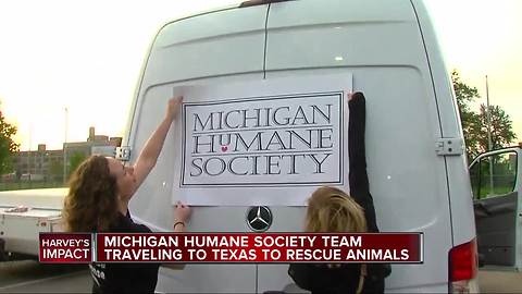 Michigan Humane Society heads to Houston to help animals in flood
