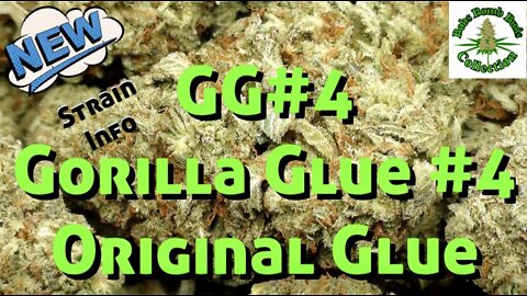 Gorilla Glue, GG#4 A.K.A. Original Glue