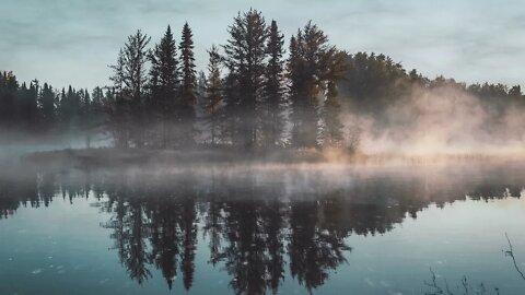 Morning rain over a misty wooded lake island