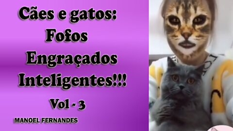 Cães e gatos: Fofos, engraçados e inteligentes!!! vol - 3