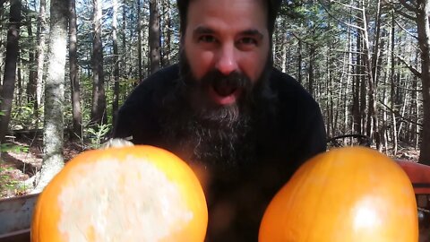 *Halloween Special* Pumpkin Hunt