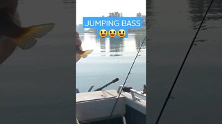 JUMPING BASS😃😃😃