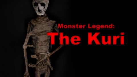 The Kuri