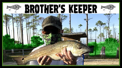 Brother's Keeper | Tails From the Coast