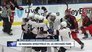 Three Section VI boys hockey teams advance to Regionals