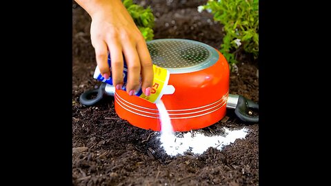 Easy gardening tips! 💚