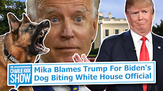 Mika Blames Trump For Biden's Dog Biting White House Official