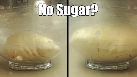 Does Bread Dough Need Sugar To Rise?