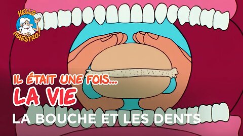 Il était une fois… la Vie 🌱- La bouche et les dents 🦷 [Flokossama]