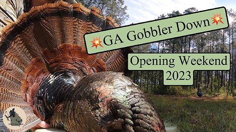 Gobbler Down In Georgia | Turkey Opening Weekend 2023