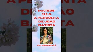 Mateus 11, 1-6 A pergunta de João Batista #shorts #lucianaventurini #evangelhodemateus