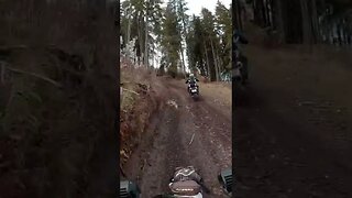 Hillclimb with the boyz | Husqvarna 701 LR #shorts #enduro #motocerbii