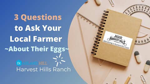 3 Questions to Ask Your Local Farmer About Their Eggs