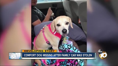 Poway family pleading to find comfort dog, stolen with car in Northern California