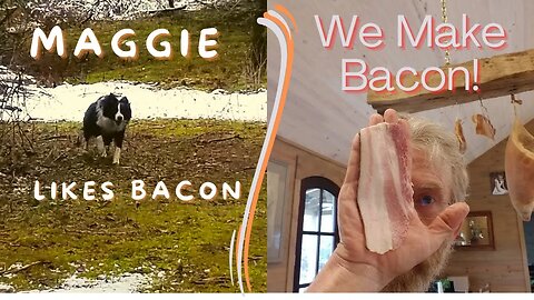 We Make Bacon Because Maggie Likes It: How to Create the Perfect Bacon at Home!