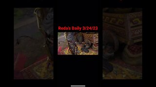 Reda’s Daily 3/24/23