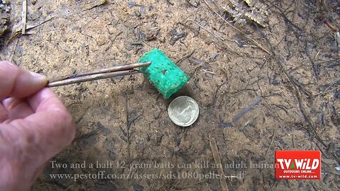 Auckland's water supply - Hunua dams - poisoned again