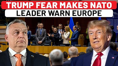 NATO Leader's Scared Warning To Europe: Wants Zelensky Dumped Over Trump Win Impact On Russia War