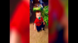 Squeaky Toy makes Baby want to Dance