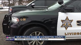Wild police chase in Livingston County