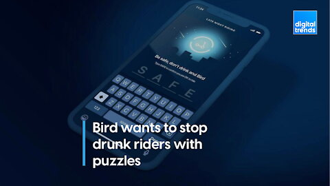 Bird wants to use puzzles to stop drunk riders