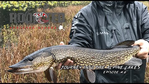 Alaska Pike Fishing | The Alpine Alaskan Pike Lakes Topwater Fishing | Addicted Alaska Ep.#6