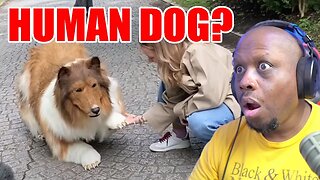 Japanese man spends $14,000 to become a DOG as video GOES VIRAL! This in MIND-BOGGLING!