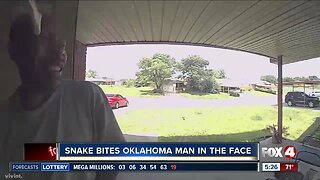 Caught on camera: snake bites Oklahoma man in the face