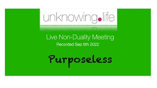 "Purposeless" - Live Non-Duality Meeting Recorded August 30th (Evening)