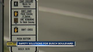 Some Tampa residents concerned about busy Busch intersection