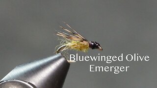 Blue-winged Olive Emerger