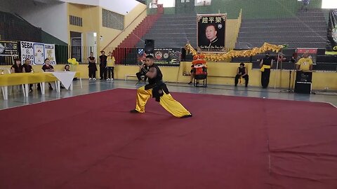 Drone registra os movimentos do Kung fu - Prof. Flávio (OURO) Campeonato Brasileiro de Kung fu