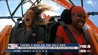 New Busch Gardens launch coaster hits 62 miles per hour